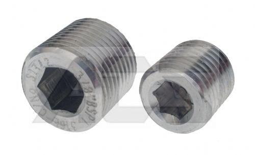 Stainless Steel Internal Hex Male BSP and NPT Plug