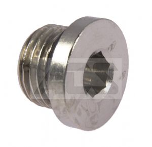 Nickel Plated Brass Internal Hex BSP Blanking Plug