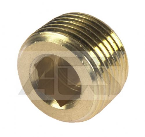 Brass Internal Hex Male BSP and NPT Blanking Plug