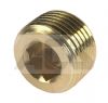 Brass Internal Hex Male BSP and NPT Blanking Plug