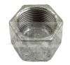 Malleable Iron Cap 1/4 -2